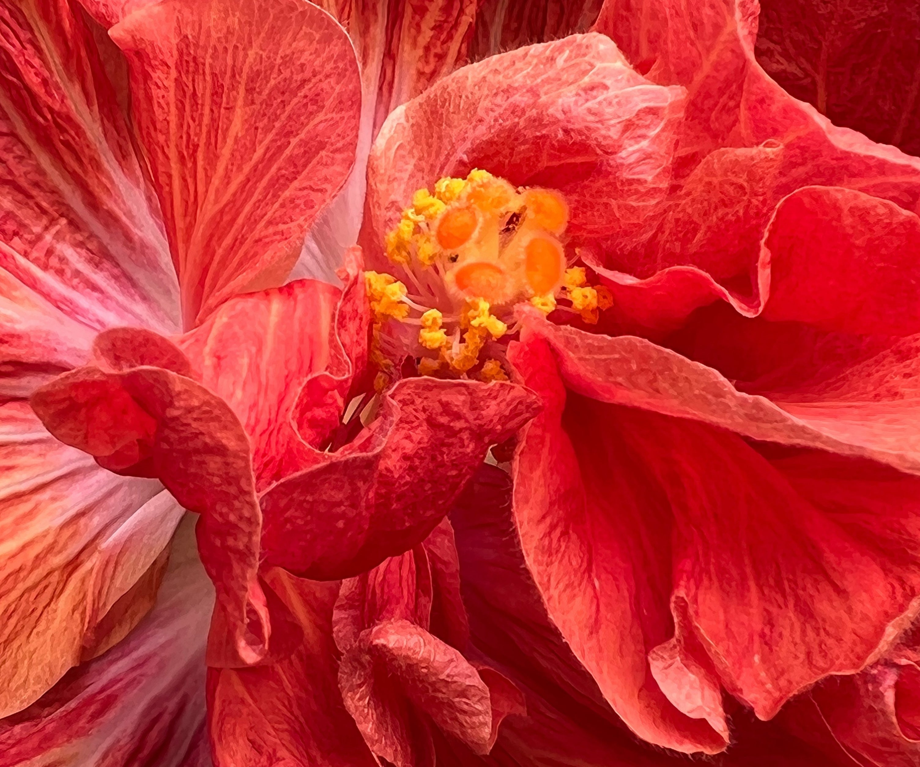 ✨Clinically proven intimate care that is obvious, natural, and pleasurable✨