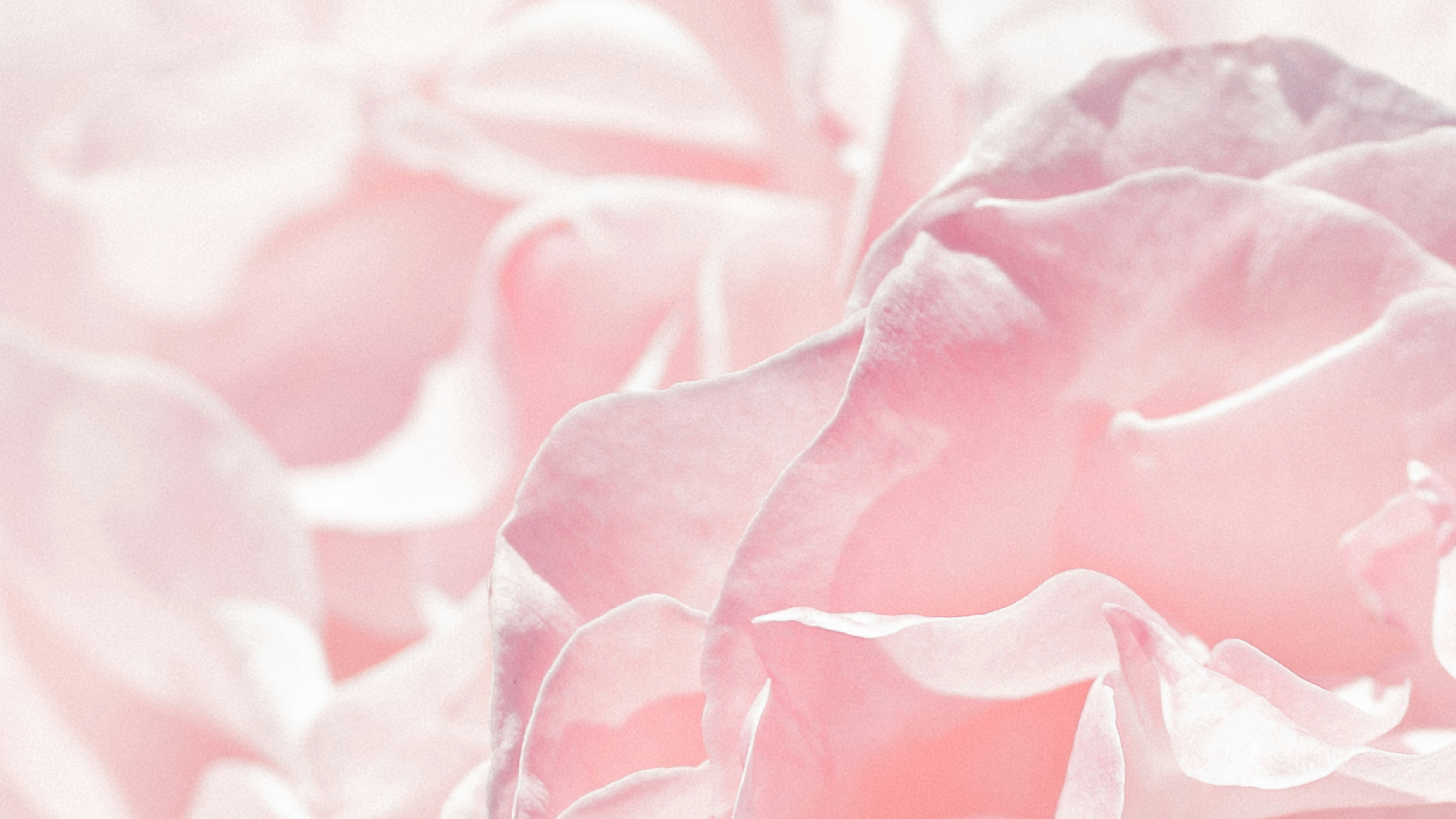 OCTOBER – BREAST CANCER AWARENESS MONTH 