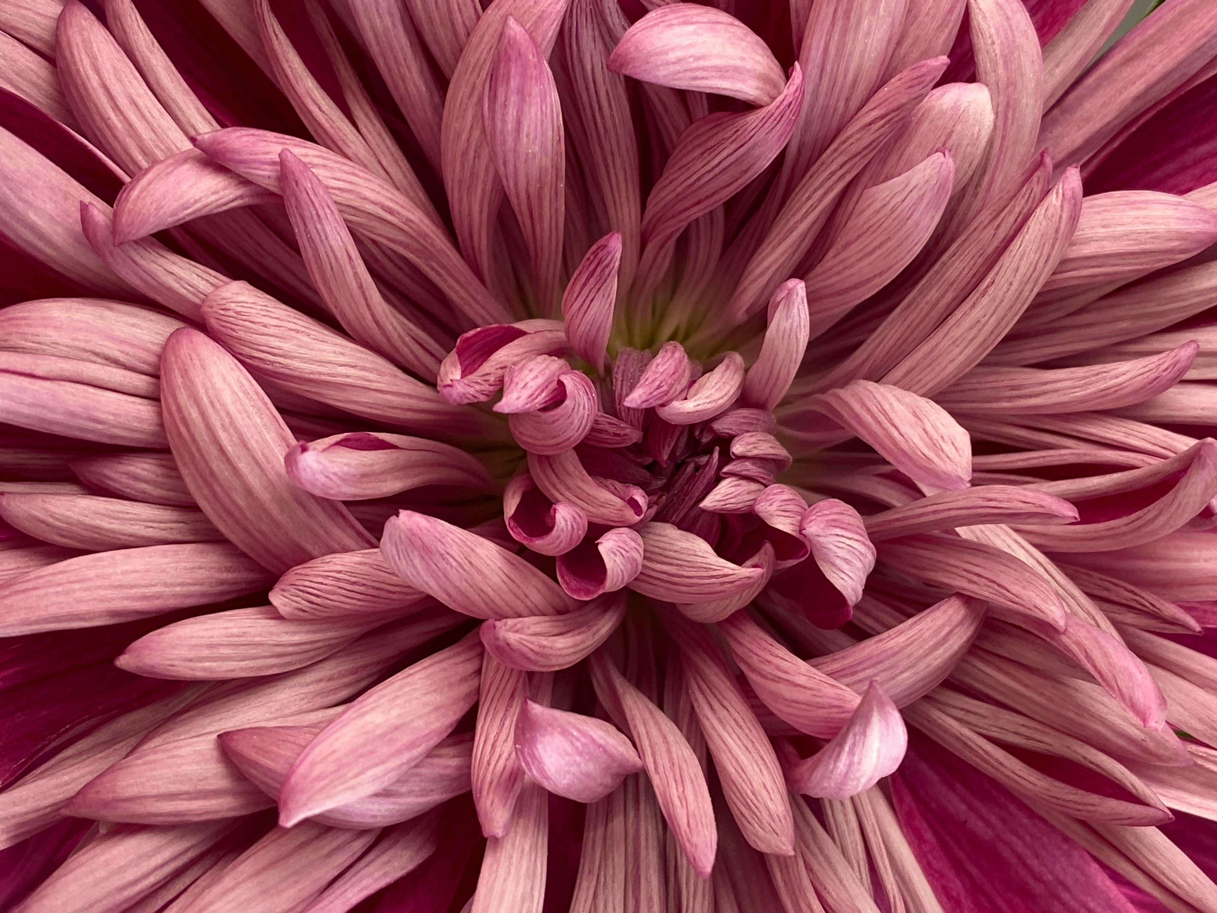 Our icks for intimate care – signs that your intimate care is not gentle enough